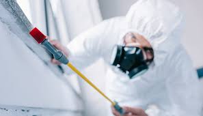 Real Estate Pest Inspections in Golden Shores, AZ